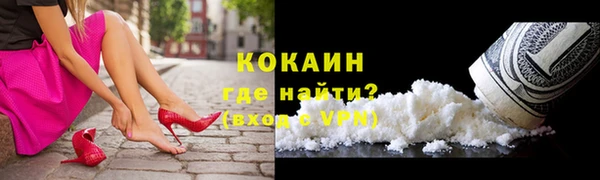 мдпв Осташков