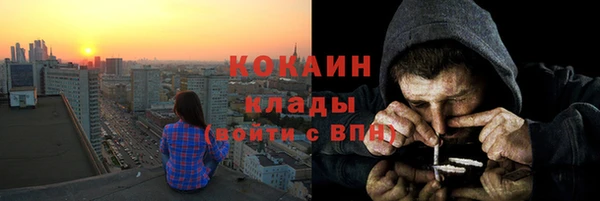 трава Пересвет