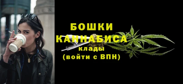 мдпв Осташков