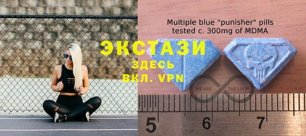 мдпв Осташков