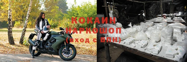 гидра Осинники