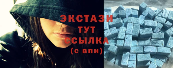 гидра Осинники