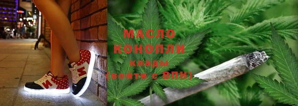гидра Осинники