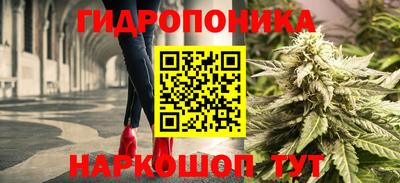 прущие грибы Рузаевка