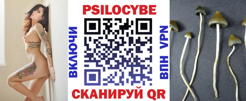 KRAKEN ссылка Ревда Галлюциногенные грибы Cubensis где найти наркотики