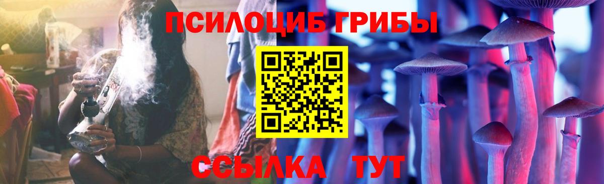 дарнет шоп  Галлюциногенные грибы Cubensis  Вход с VPN  Ревда 